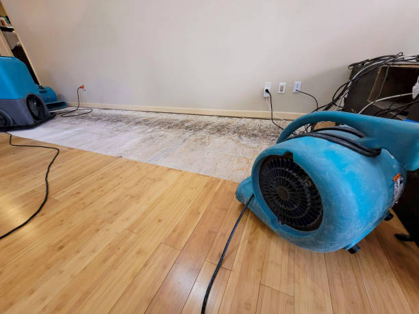 Professional Water Extraction technician working in Petersburg, IL
